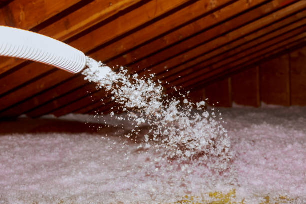 Best Spray Foam Insulation  in Davison, MI