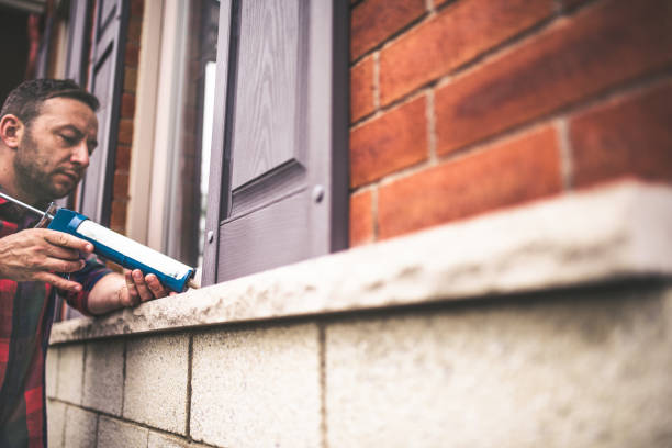 Best Cellulose Insulation  in Davison, MI