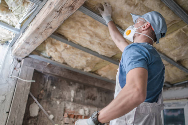 Best Insulation Removal Services  in Davison, MI