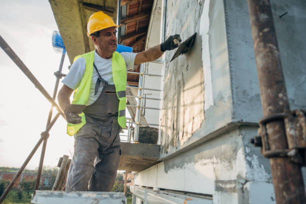 Best Residential Insulation Services  in Davison, MI