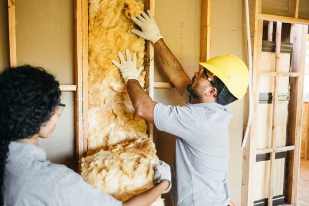 Best Insulation Removal  in Davison, MI