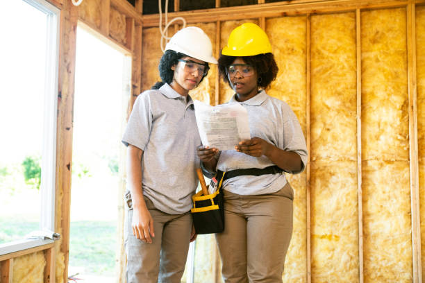 Best Local Insulation Services  in Davison, MI