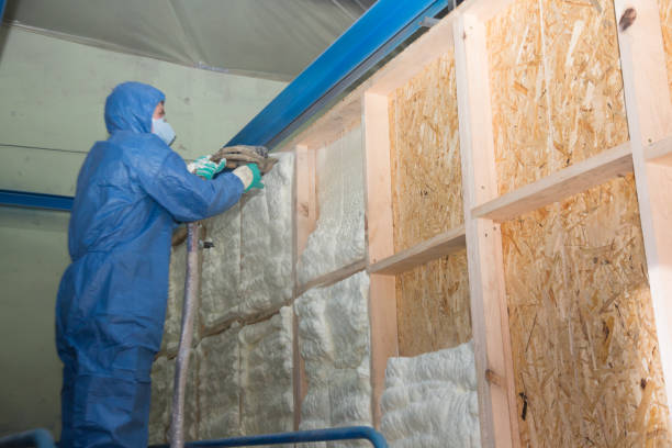 Best Home Insulation Services  in Davison, MI
