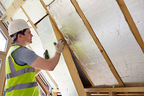 Best Energy-efficient Insulation  in Davison, MI