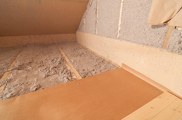 Best Insulation Removal  in Davison, MI