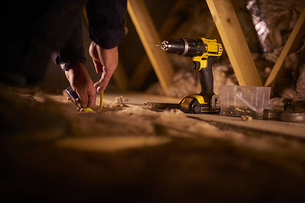 Best Affordable Insulation Services  in Davison, MI
