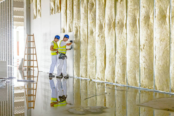 Trusted Davison, MI Insulation Contractor Experts